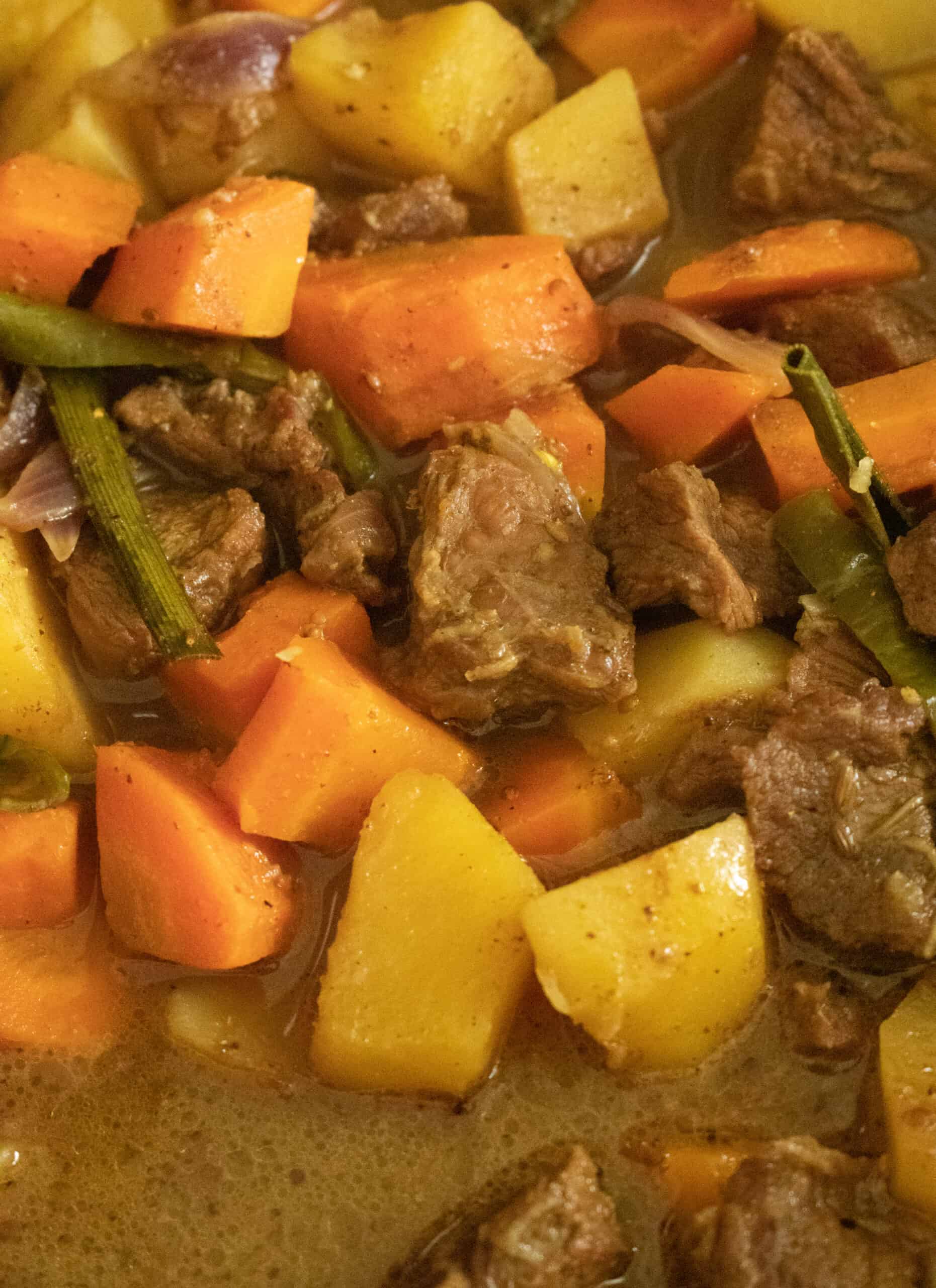 coconut curry beef stew with carrots and potatoes. | ISLAND SMILE