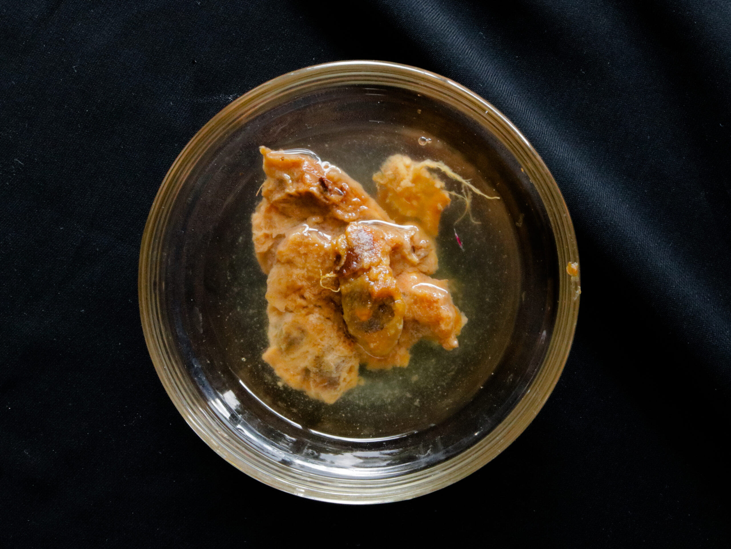 tamarind pods with seed soaking in water